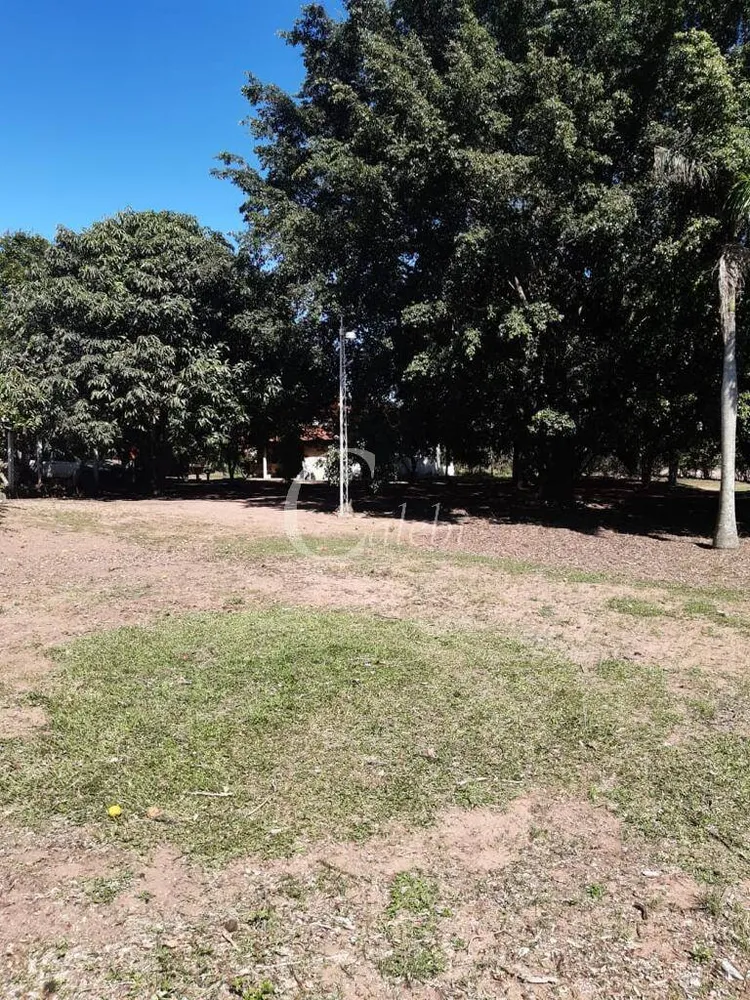 Sítio, 3 quartos, 3 m² - Foto 1