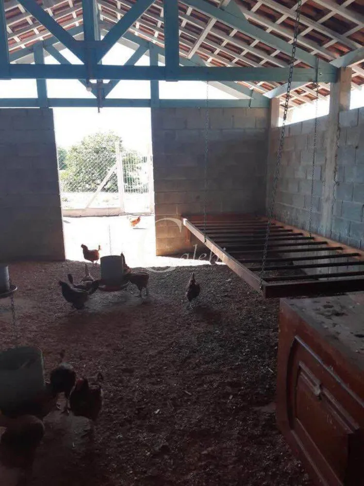 Sítio, 3 quartos, 3 m² - Foto 14