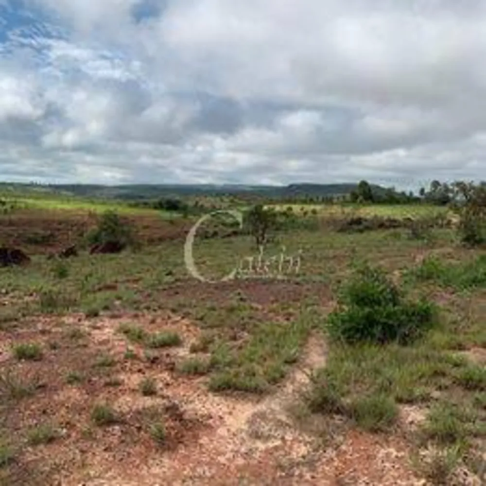 Fazenda, 300 m² - Foto 6