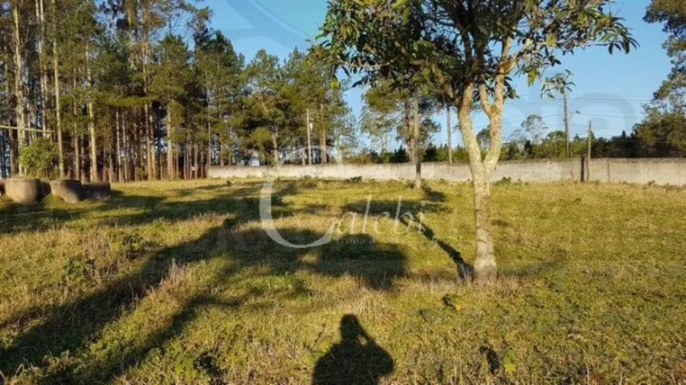 Sítio, 2 quartos, 3 hectares - Foto 10