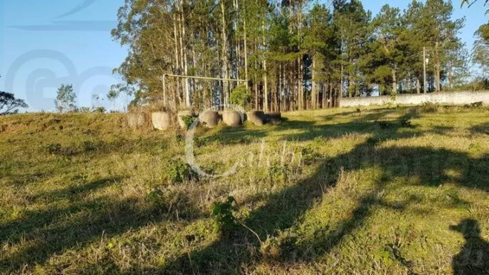 Sítio, 2 quartos, 3 hectares - Foto 12