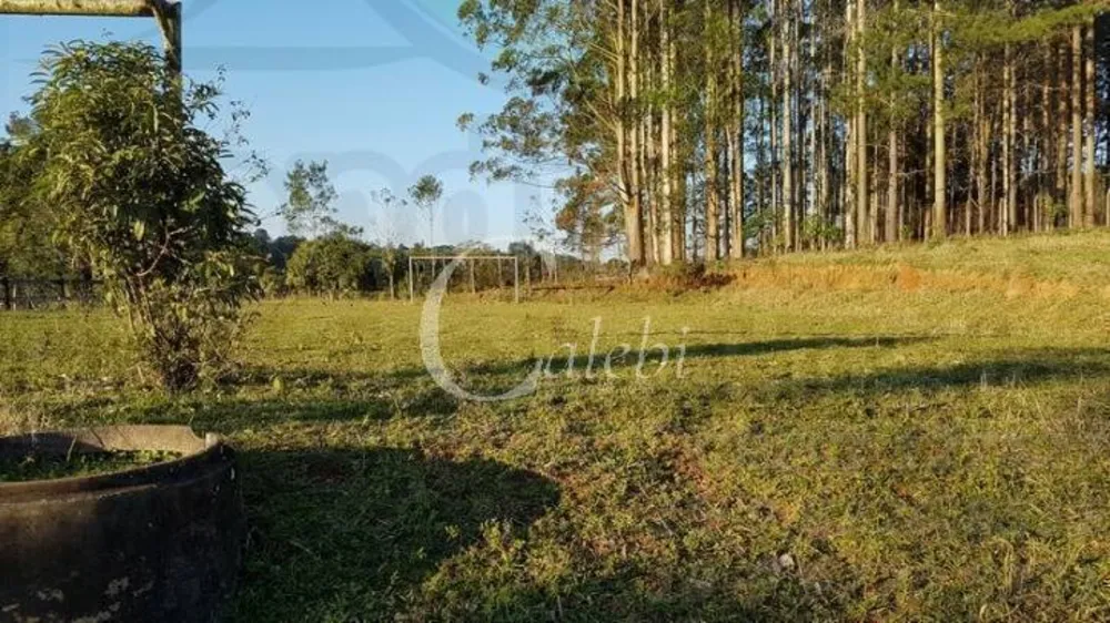 Sítio, 2 quartos, 3 hectares - Foto 11