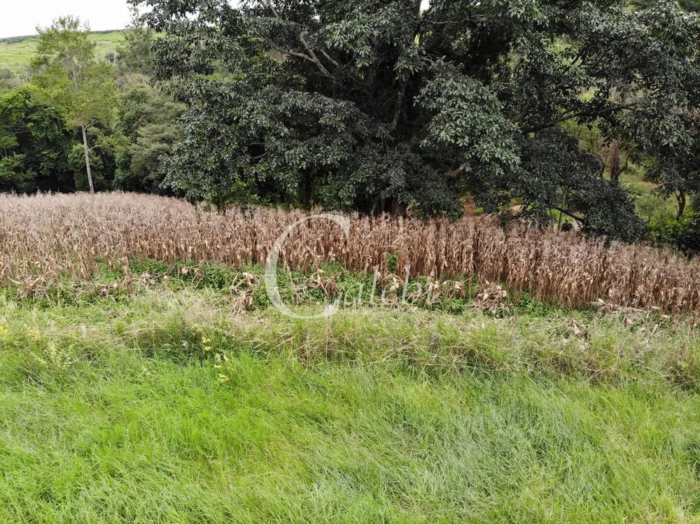 Terreno, 2 m² - Foto 6