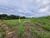 Terreno, 7 m² - Foto 3