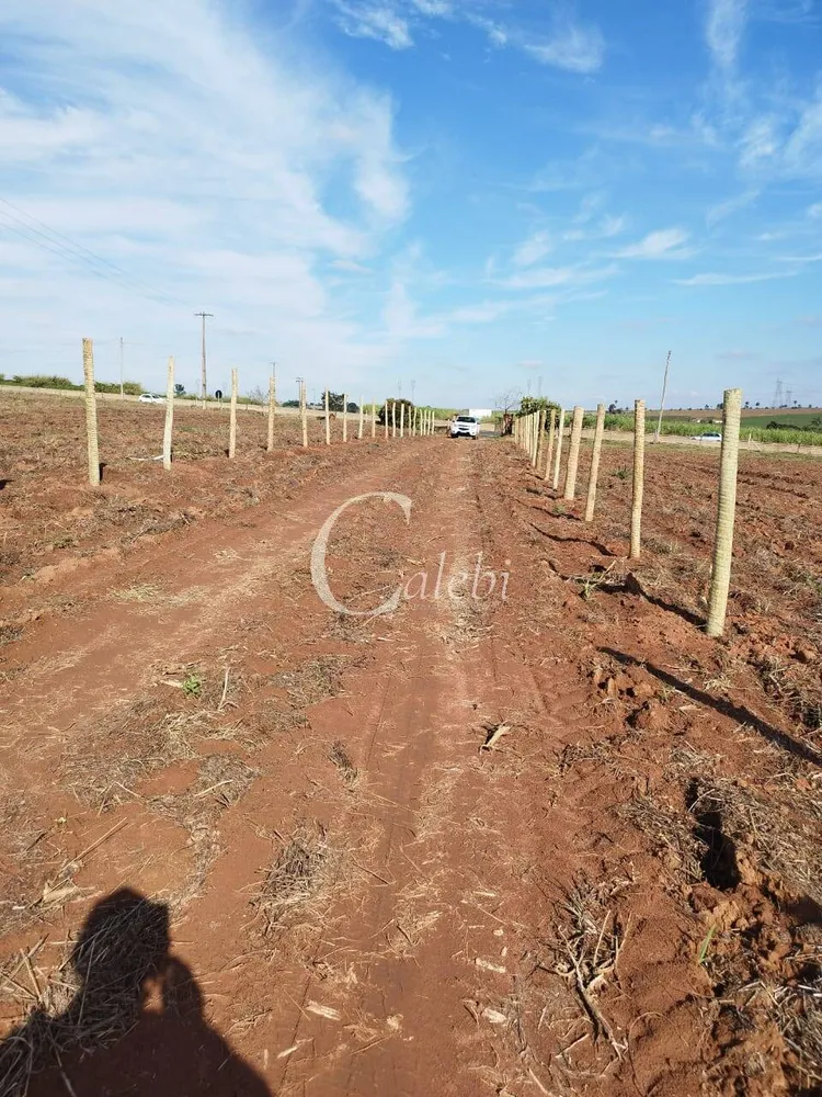 Terreno, 2 m² - Foto 4