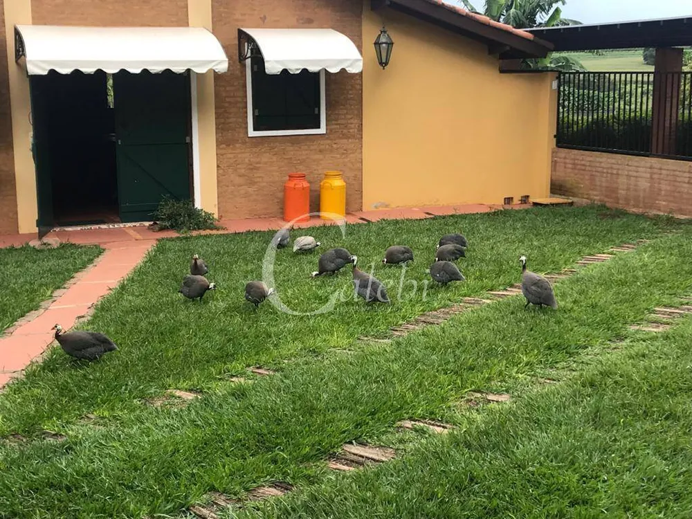 Terreno, 7 m² - Foto 3