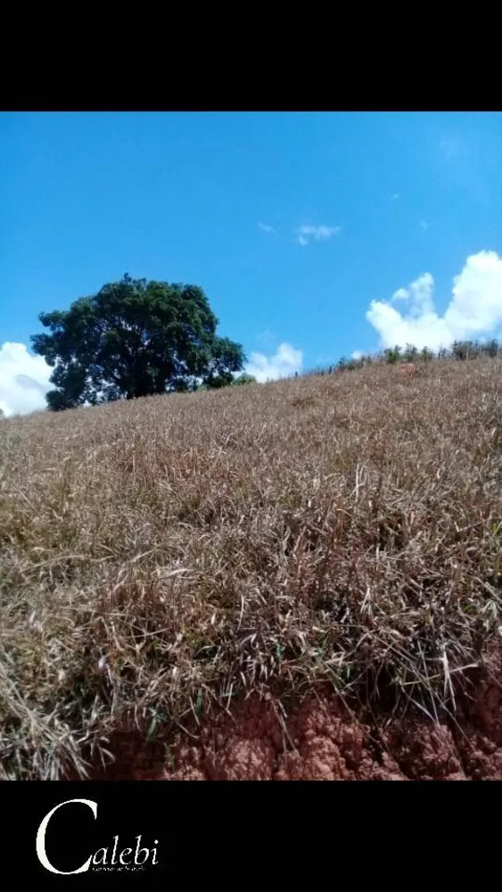 Terreno à venda, 5m² - Foto 3