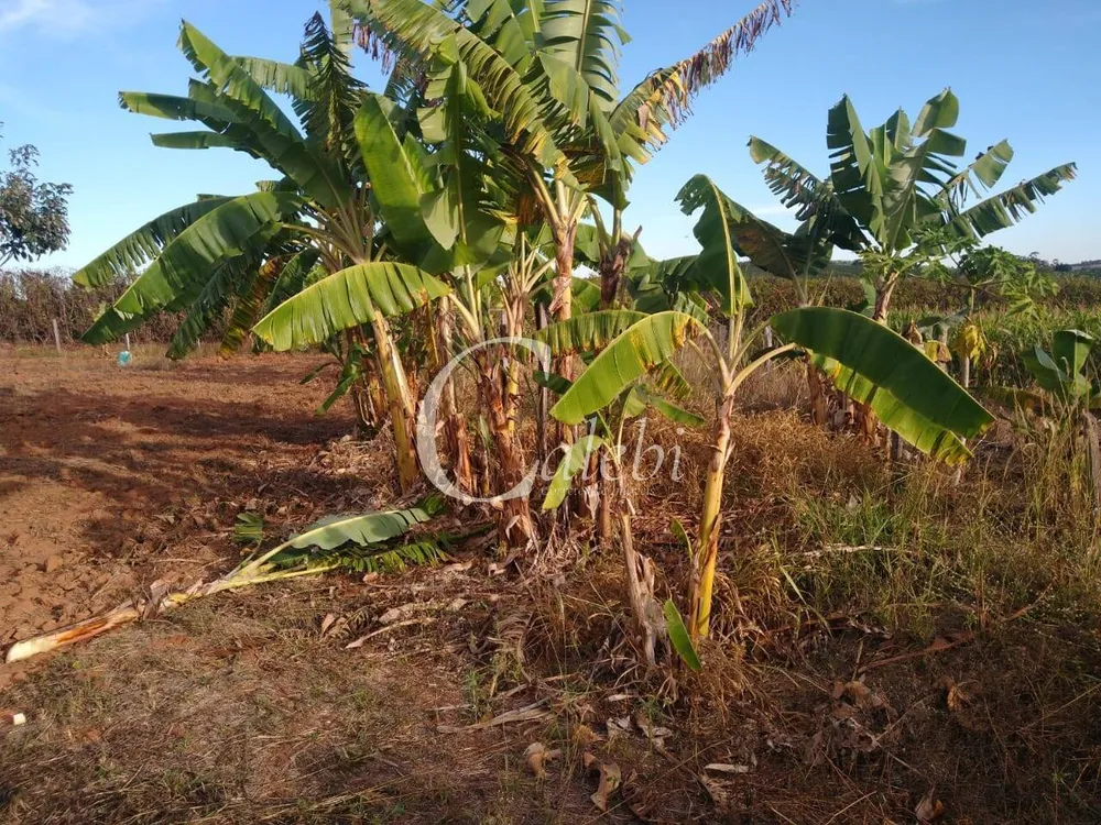 Terreno, 5000 m² - Foto 16