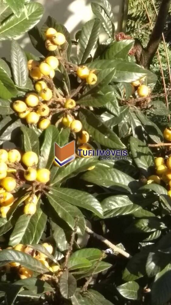 Casa, 5 quartos, 314 m² - Foto 30