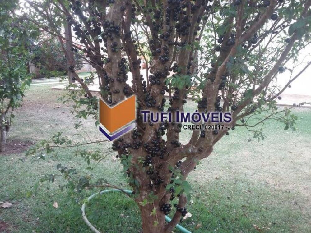 Casa, 5 quartos, 314 m² - Foto 37