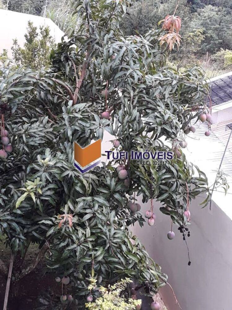 Casa, 5 quartos, 314 m² - Foto 33