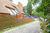 Casa, 4 quartos, 800 m² - Foto 7