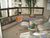 Apartamento, 4 quartos, 461 m² - Foto 6