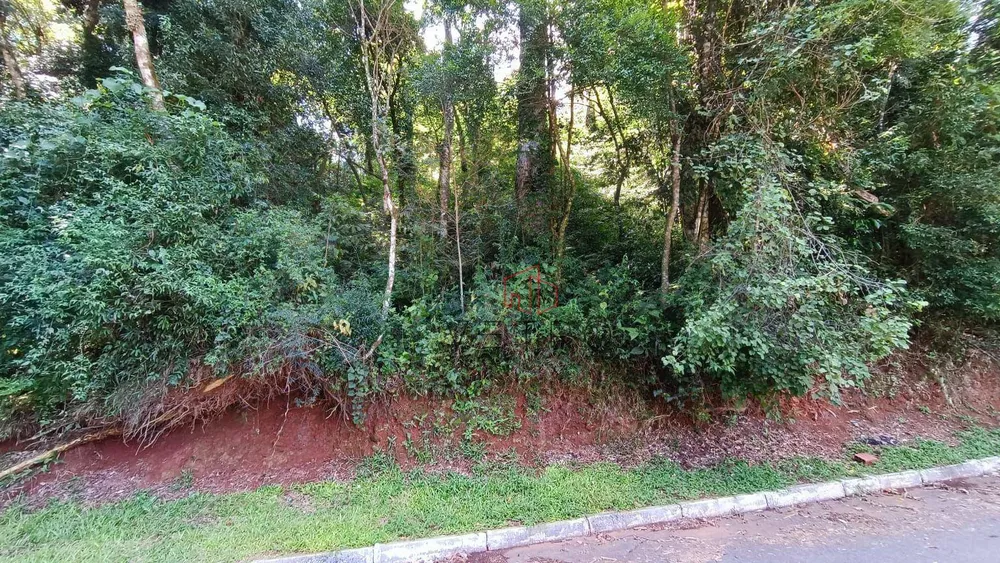 Terreno, 798 m² - Foto 2