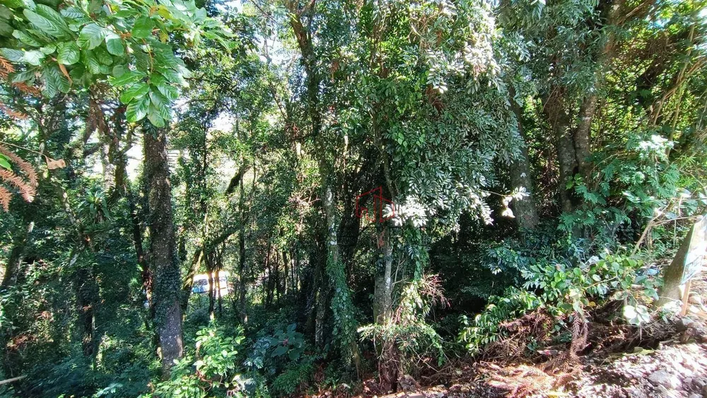Terreno, 798 m² - Foto 3