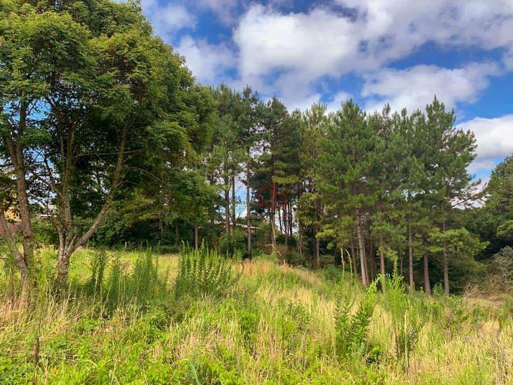 Terreno, 840 m² - Foto 2