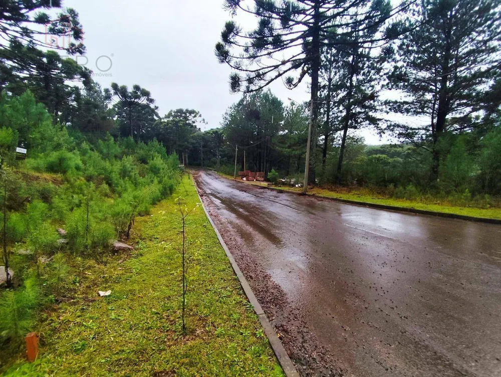 Loteamento e Condomínio, 450 m² - Foto 5