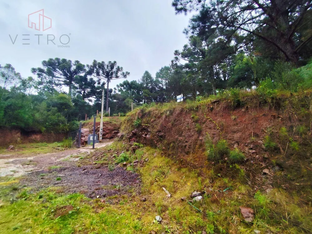 Loteamento e Condomínio, 450 m² - Foto 4