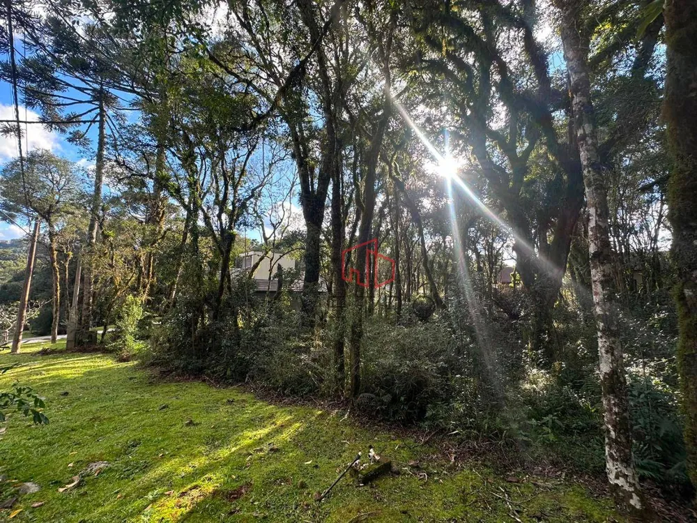 Loteamento e Condomínio, 771 m² - Foto 4