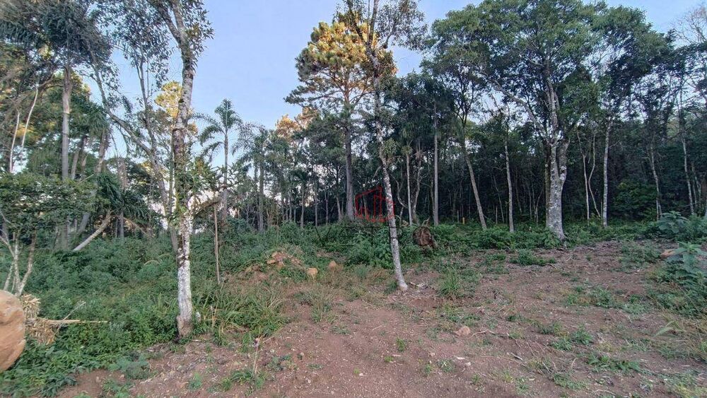 Terreno, 13 hectares - Foto 1