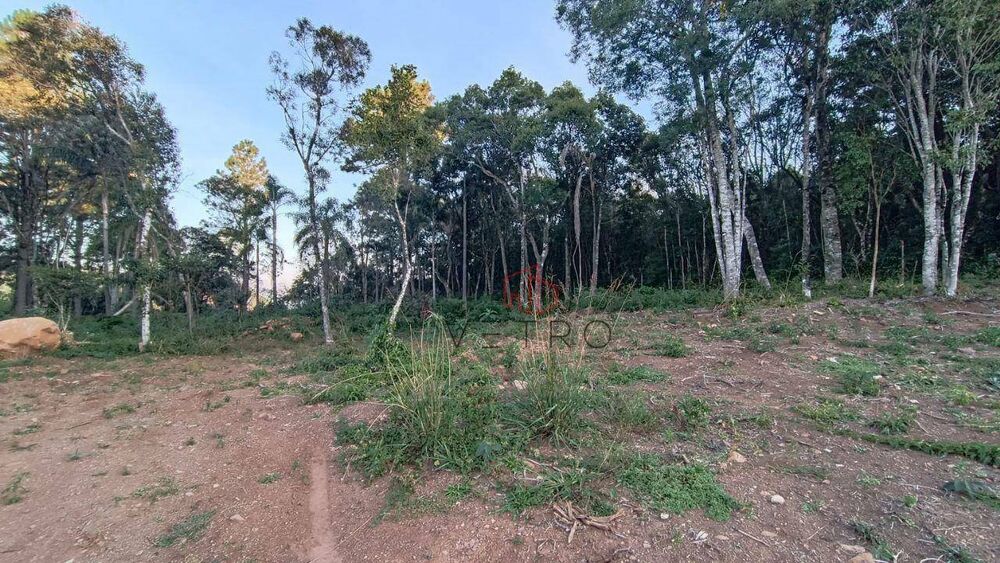 Terreno, 13 hectares - Foto 4