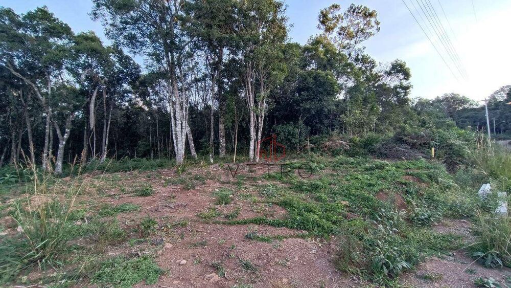 Terreno, 13 hectares - Foto 3