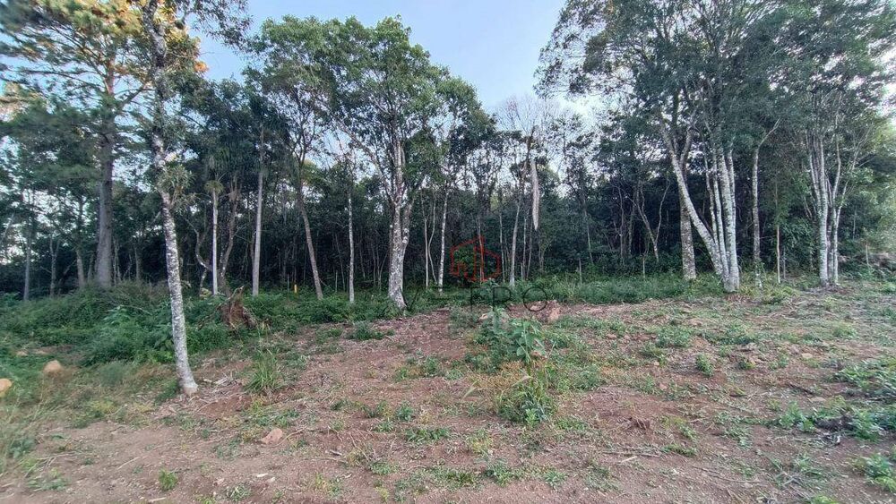 Terreno, 13 hectares - Foto 2