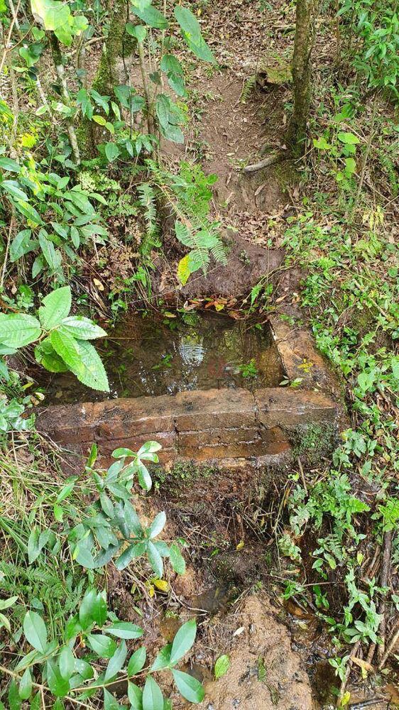 Sítio, 40 hectares - Foto 7