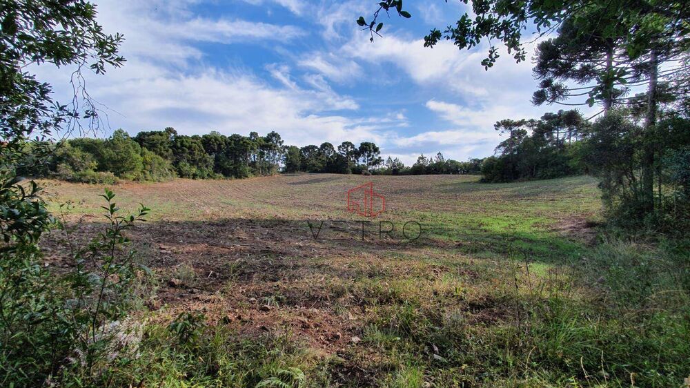 Sítio, 40 hectares - Foto 1