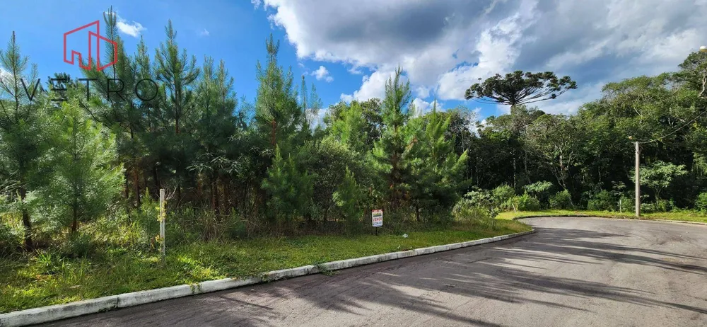 Loteamento e Condomínio, 450 m² - Foto 1