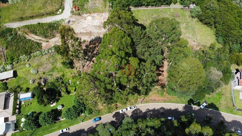 Terreno, 2384 m² - Foto 4