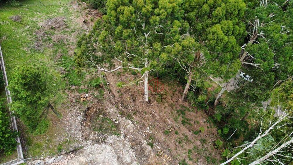 Terreno, 2384 m² - Foto 5