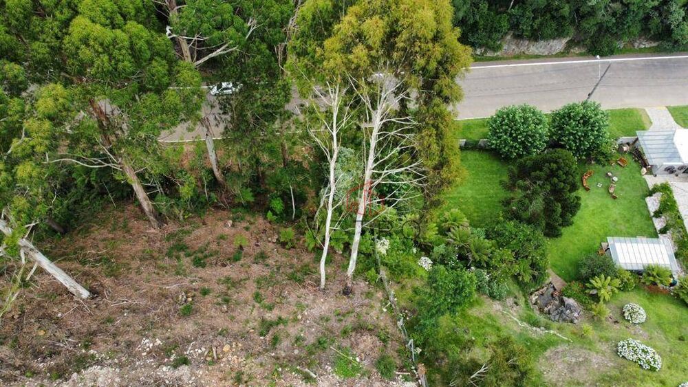 Terreno, 2384 m² - Foto 6