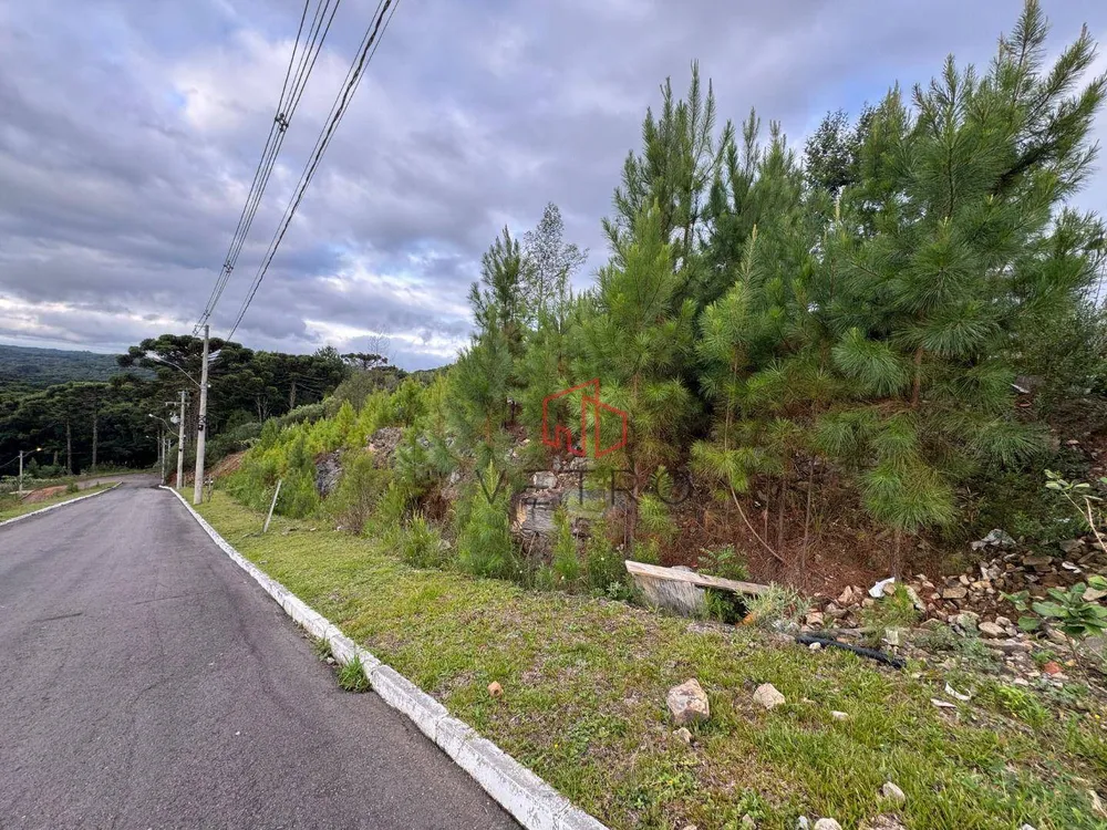 Loteamento e Condomínio, 450 m² - Foto 5