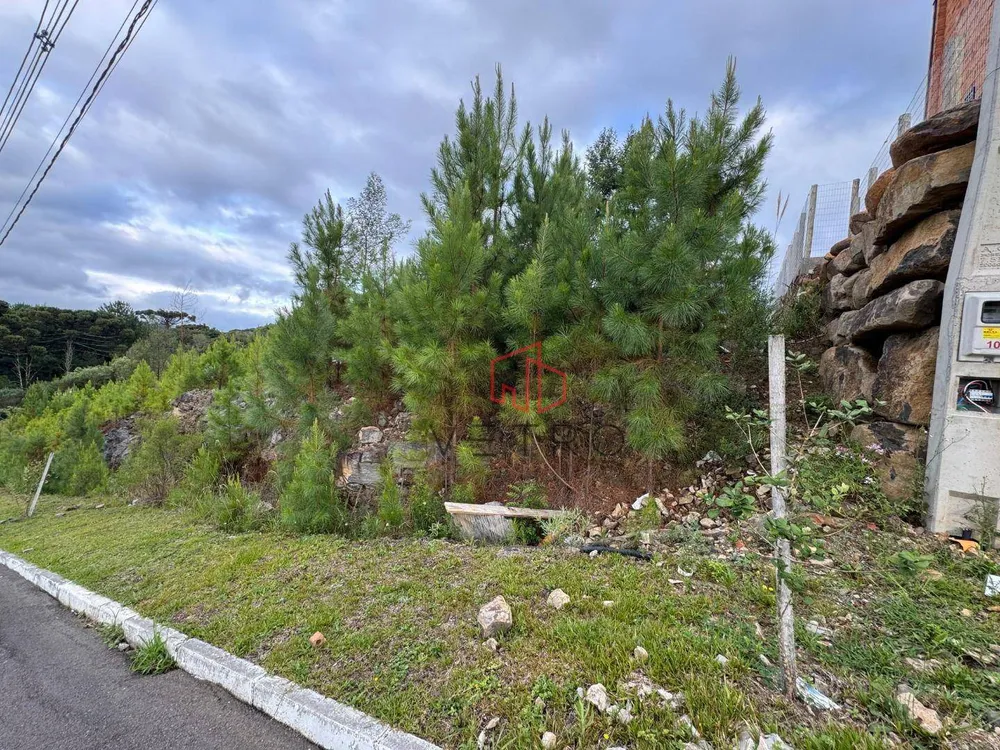 Loteamento e Condomínio, 450 m² - Foto 6