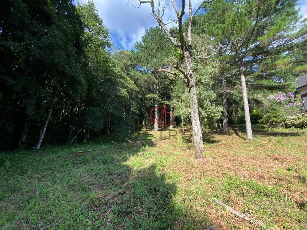Loteamento e Condomínio, 735 m² - Foto 4