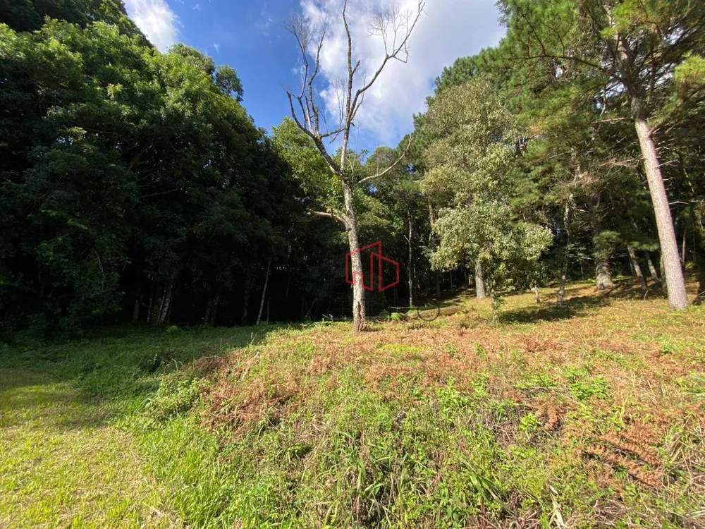 Loteamento e Condomínio, 735 m² - Foto 2