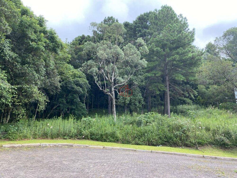 Loteamento e Condomínio, 735 m² - Foto 6