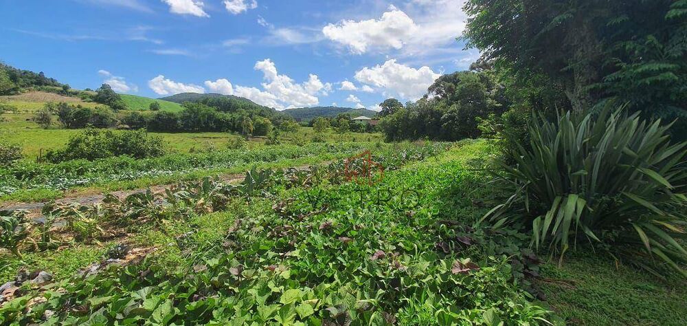 Sítio à venda, 100000M2 - Foto 7