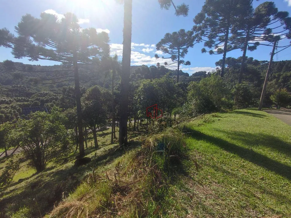 Loteamento e Condomínio, 1738 m² - Foto 7