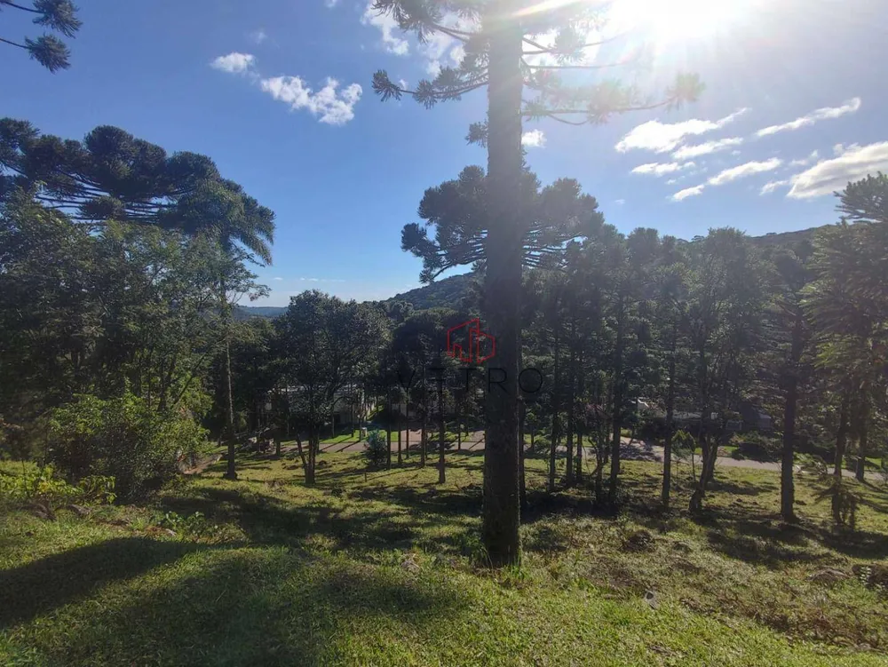 Loteamento e Condomínio, 1738 m² - Foto 4