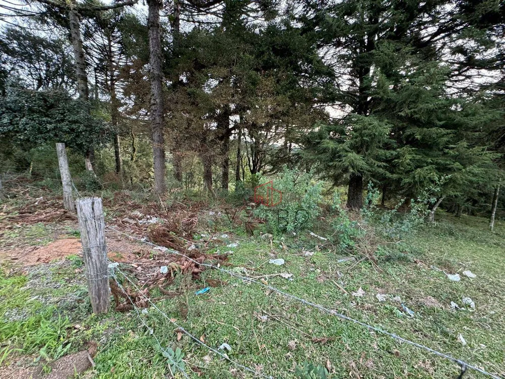 Terreno, 4825 m² - Foto 6