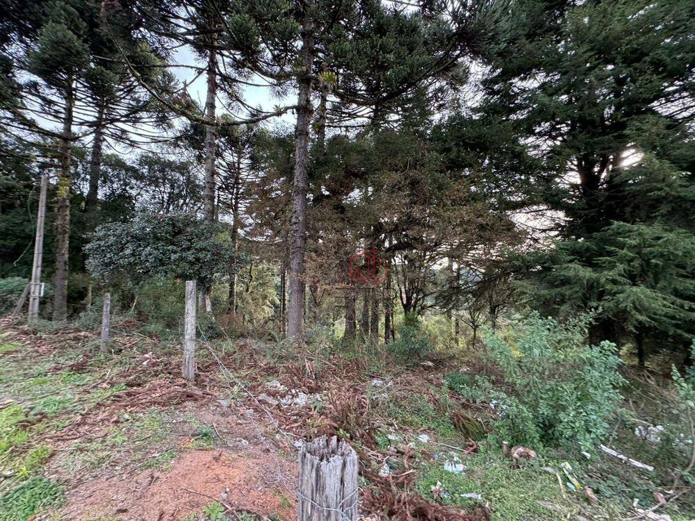 Terreno à venda, 4825M2 - Foto 6