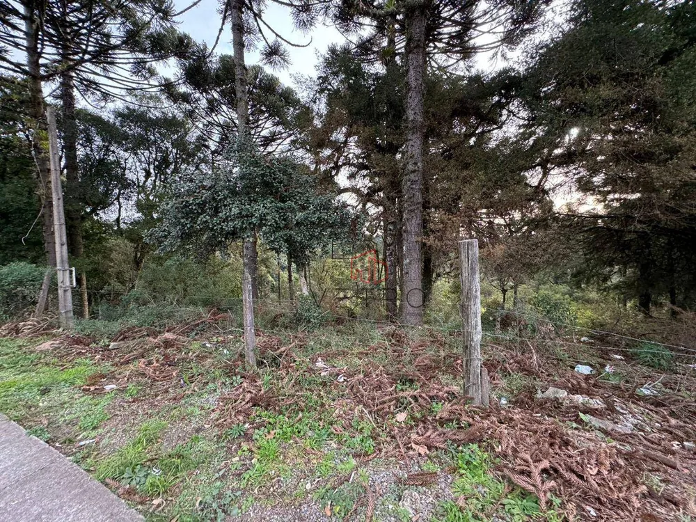 Terreno, 4825 m² - Foto 7