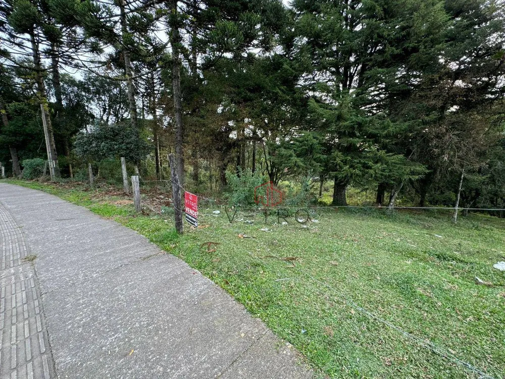 Terreno, 4825 m² - Foto 3
