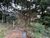 Terreno, 4825 m² - Foto 6
