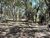 Sítio, 5 quartos, 4 hectares - Foto 4