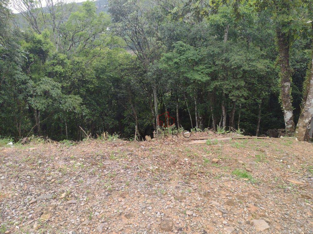 Terreno, 362 m² - Foto 1