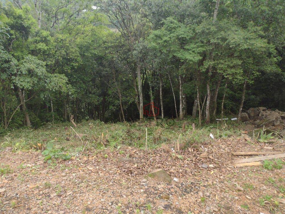 Terreno, 362 m² - Foto 2