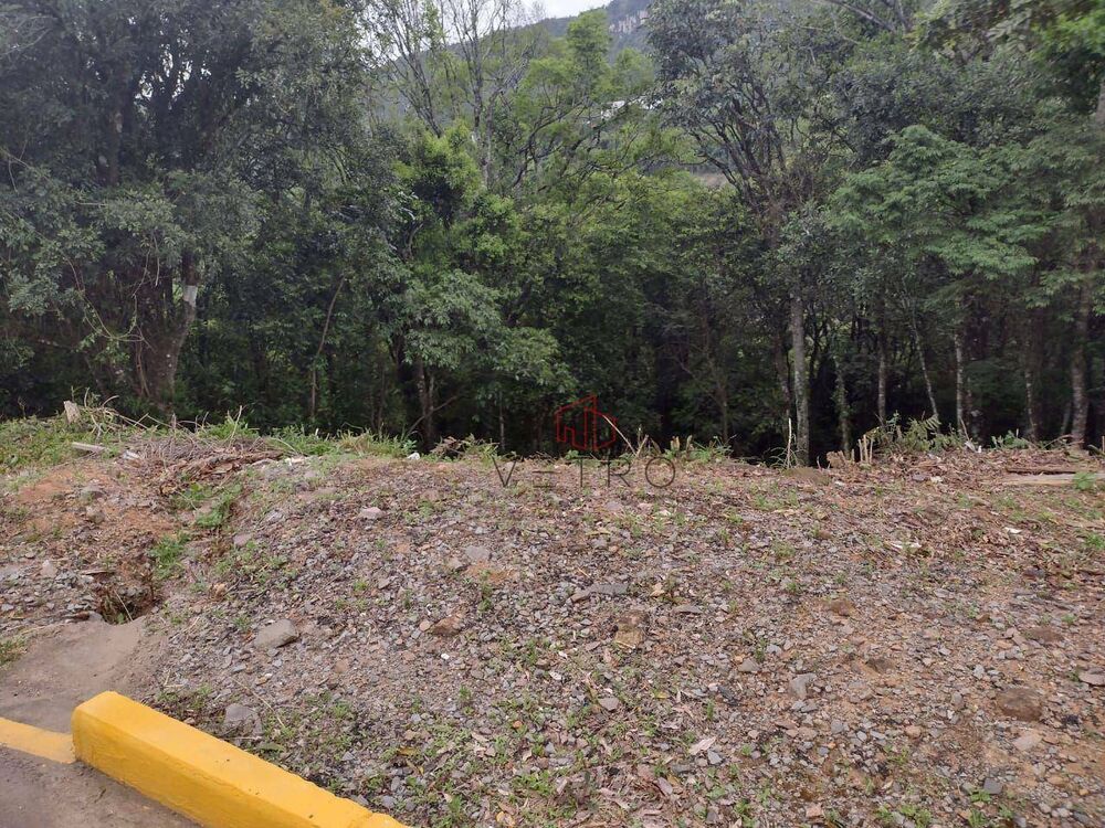 Terreno, 362 m² - Foto 3